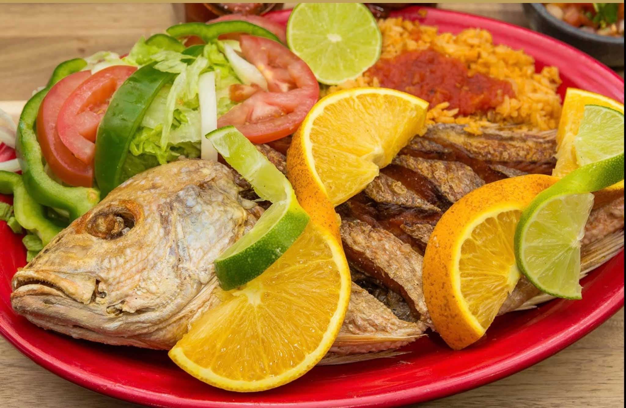 Red Snapper